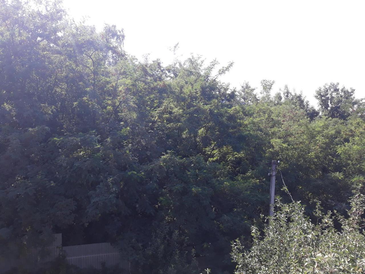 Котедж "Лісовий Затишок" Glubokoye Exterior photo