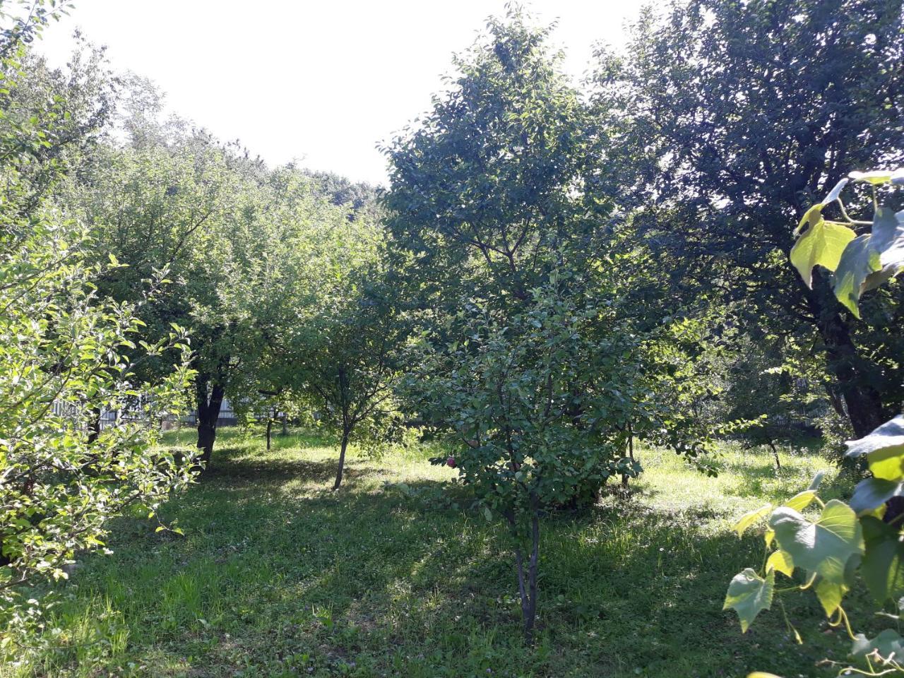 Котедж "Лісовий Затишок" Glubokoye Exterior photo