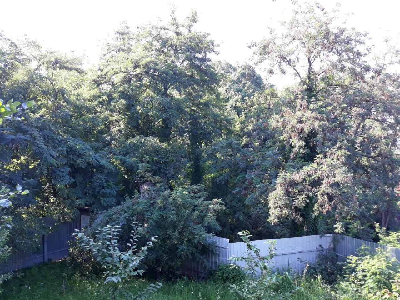 Котедж "Лісовий Затишок" Glubokoye Exterior photo